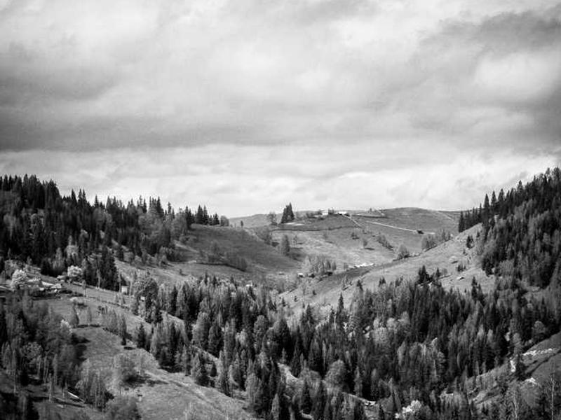 iPad Pro 12.9" - #37