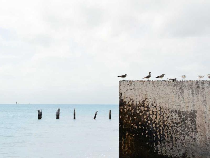 Sales Associate - Retail - #36