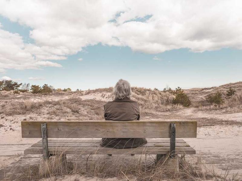 Vintage Leather Sofa
