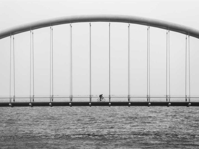 Lawn Care & Landscaping - #41